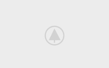 Wood Portfolio Placeholder