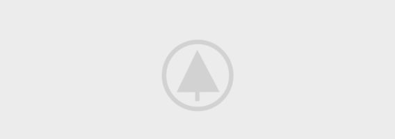 Wood Portfolio Placeholder