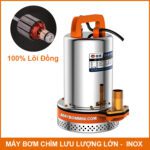 May Bom Nuoc Loi Dong Cao Cap