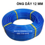 Ong Day 2 Lop 12mm.jpg