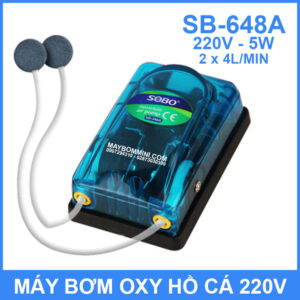 May Bom Oxy 220V 5W 8L SB 648A
