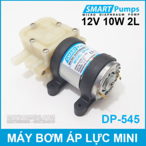May Bom Ap Luc Mini 12V 10W 2L Smartpumps DP 545