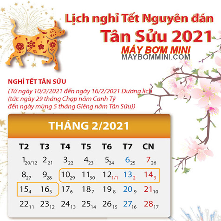 Lich Nghi Tet May Bom Mini 2021