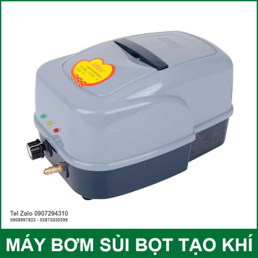 Gia May Bom Sui Bot Khi Ho Ca 220V 20W 30L Auto AC DC Resun