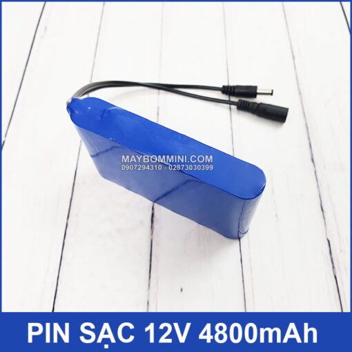 ban pin sac 12v 2 1