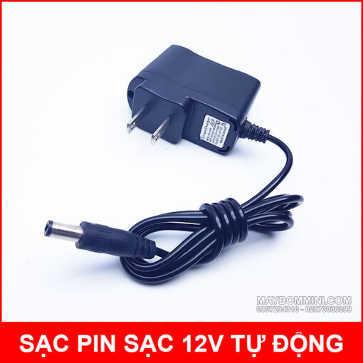 sac pin 12v tu dong thong minh 1 4