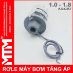 Ren Role May Bom Nuoc Ap Luc Tu Dong 1 18kg