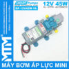 Máy bơm nước mini áp lực 12V 45W 4L tự động Smartpumps DP-12V45W-YA