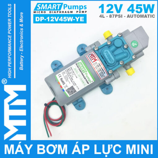 ban may bom ap luc mini tu dong 12V 45W 4L Smartpumps DP 12V45W YE 1