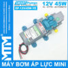 Máy bơm nước mini áp lực 12V 45W 4L tự động Smartpumps DP-12V45W-YA