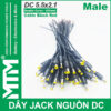 Dây nguồn DC jack 5.5x2.1mm 250mm - đuôi đực