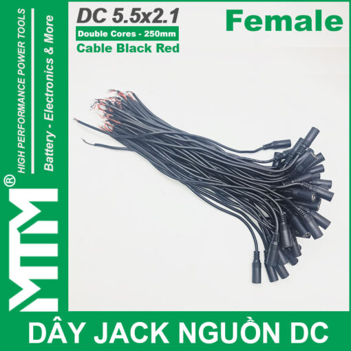 Day jack DC 250mm cai Female jack cable adapter plug power supply chuyen nghiep 1