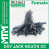 Dây nguồn DC jack 5.5x2.1mm 250mm - đuôi cái