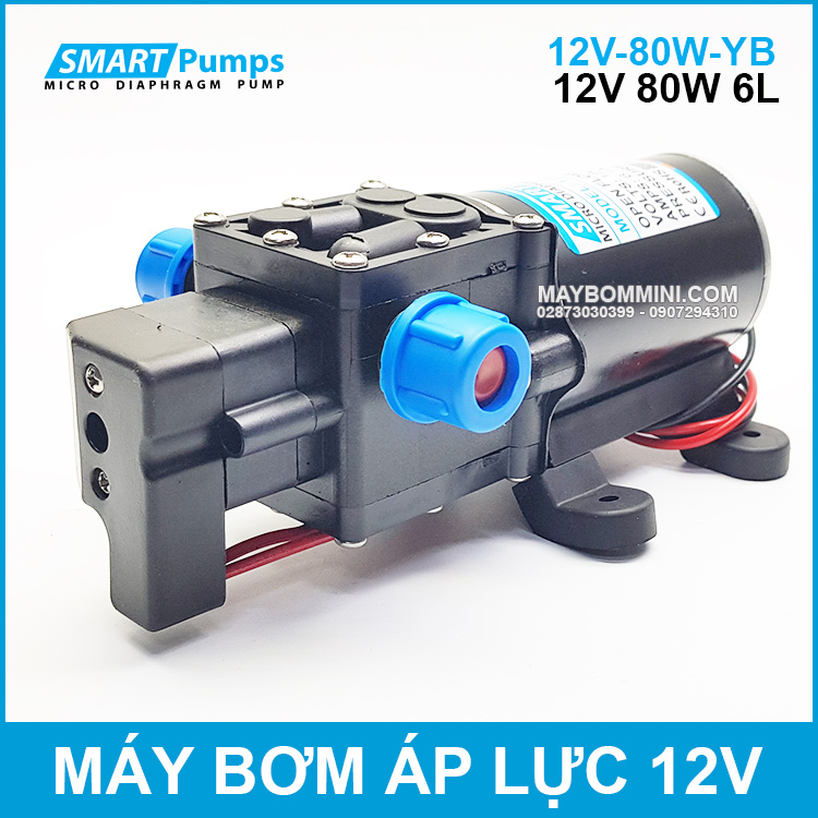 Bom-ap-luc-mini-12v-80W-smartpumps.jpg