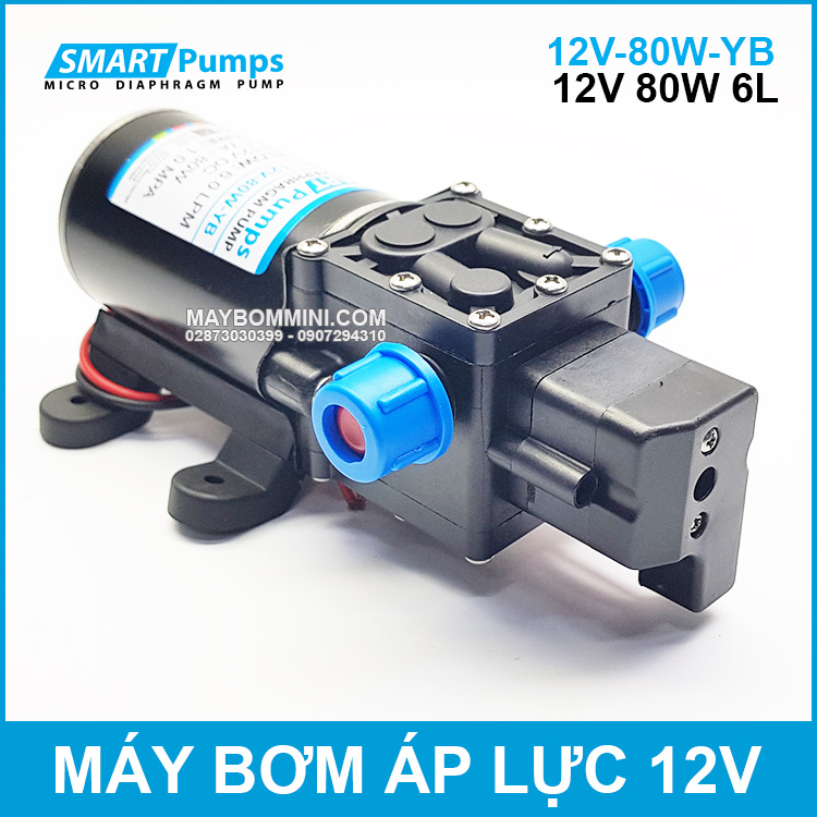 May-bom-mini-12v-80w-gia-re-chinh-hang.jpg