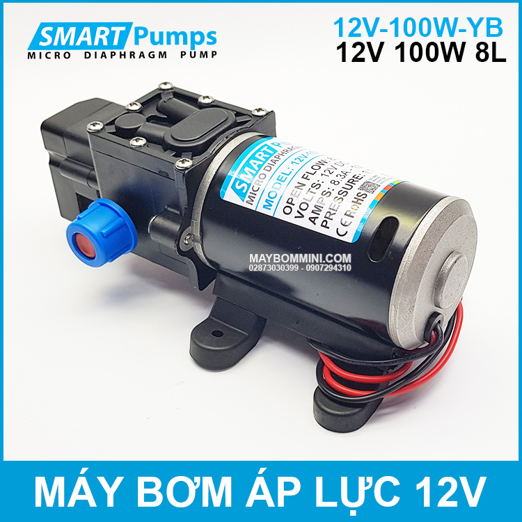 May-bom-tro-luc-tu-dong-12v-100w.jpg