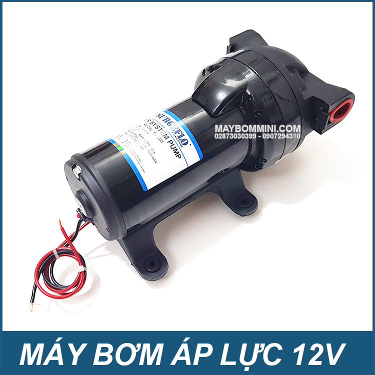 Nha-cung-cap-phan-phoi-may-bom-SURGEFLO-FL-200-12V.jpg