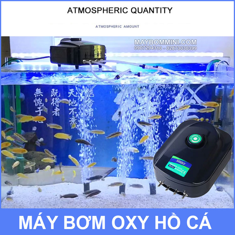 Su-dung-may-bom-oxy.jpg