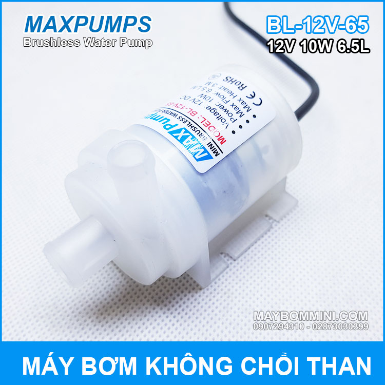 bom-nuoc-mini-maxpumps-12v-10w.jpg