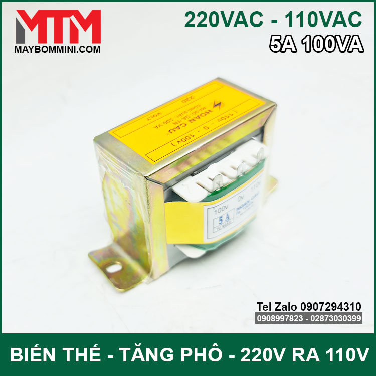 cuc-bien-the-tu-ngau-220v-110v-5A-100Va.jpg