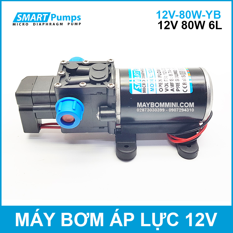 may-bom-ap-luc-mini-12V-80W-tu-dong.jpg