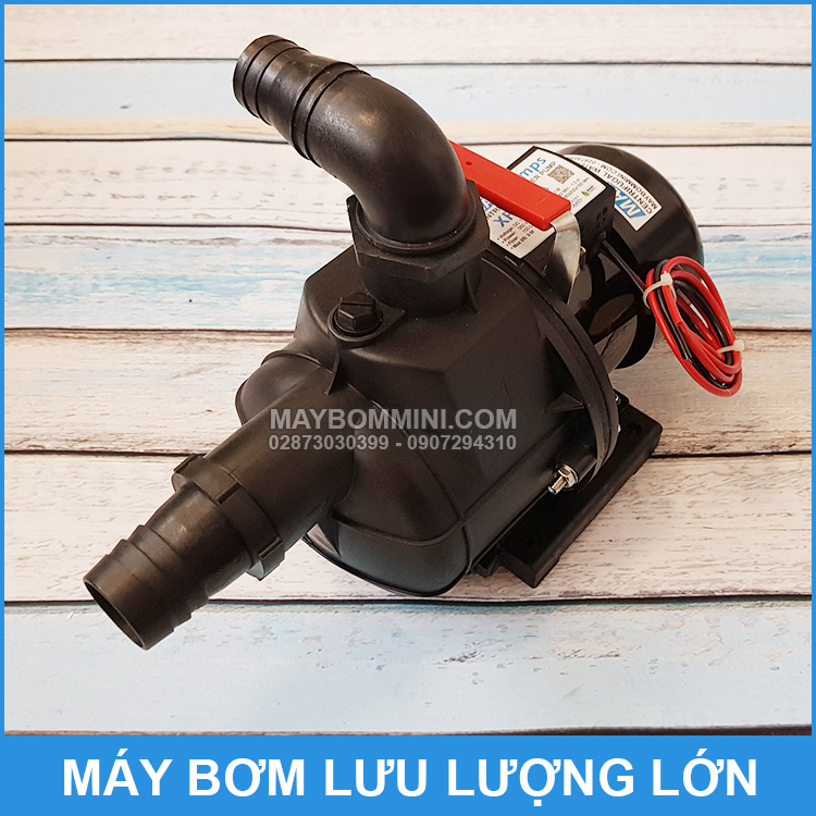 may-bom-luu-luong-lon-12V-1.jpg