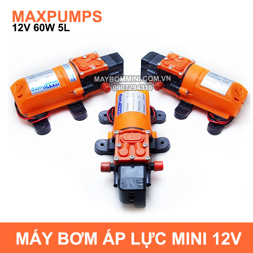 may-bom-mini-ap-luc-12v-60w-maxpumps.jpg