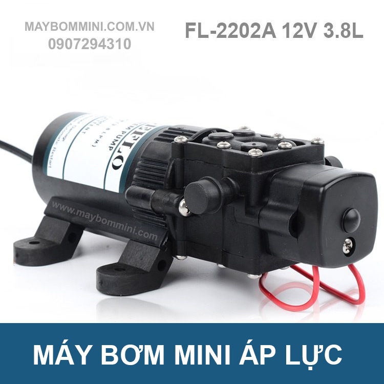 may-bom-nuoc-mini-12v-fl-2202a.jpg