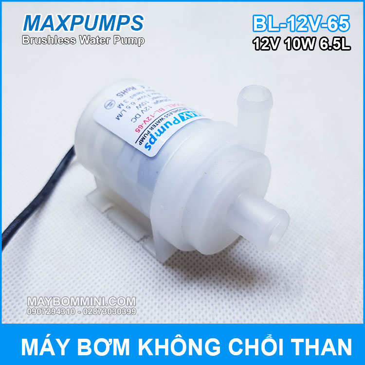 may-bom-nuoc-mini-khong-choi-than-12V-10W-Maxpumps.jpg