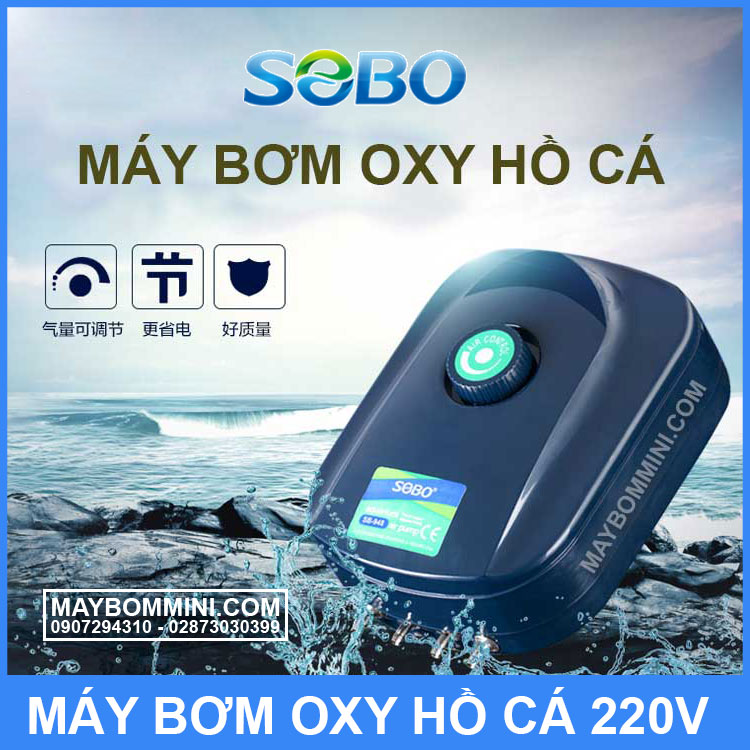 may-bom-oxy-ho-ca-gia-dinh.jpg