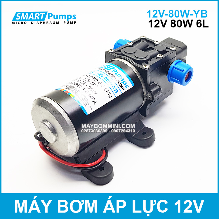 may-bom-tro-luc-may-giat-tu-dong-12v.jpg