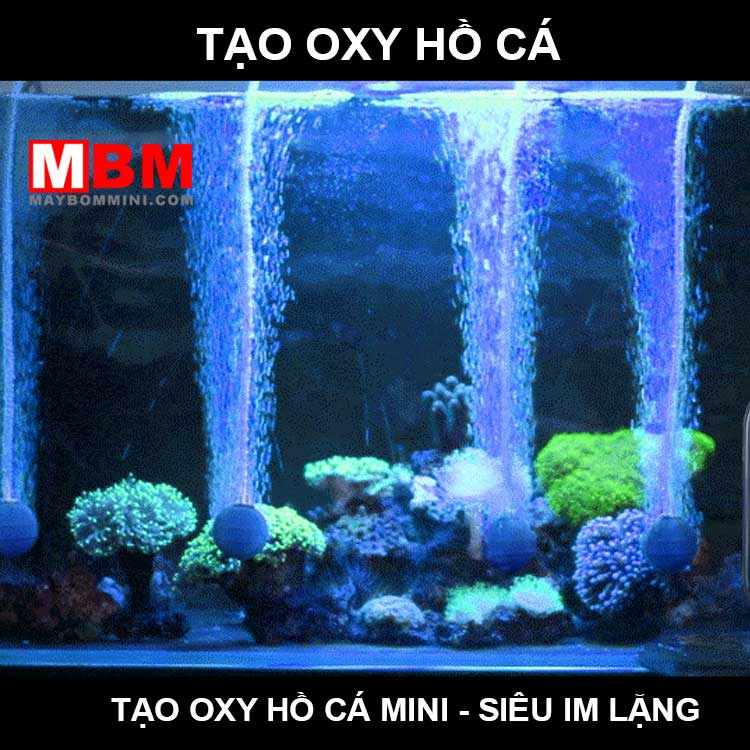 may-tao-oxy-ho-ca-canh.jpg