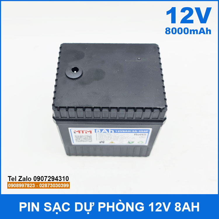 pin-12v-8000mah-gia-re.jpg