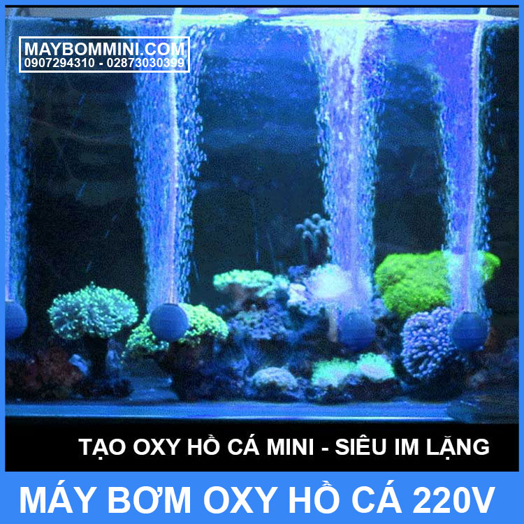 tao-oxy-ho-ca-mini.jpg